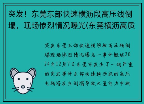 突发！东莞东部快速横沥段高压线倒塌，现场惨烈情况曝光(东莞横沥高质量低压线性恒流哪家好)