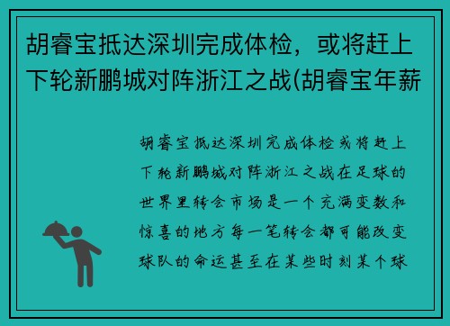 胡睿宝抵达深圳完成体检，或将赶上下轮新鹏城对阵浙江之战(胡睿宝年薪2700万)